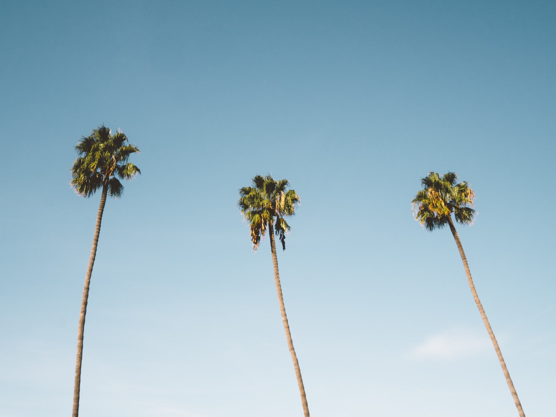 San Diego